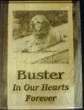Laser Engraved Wood